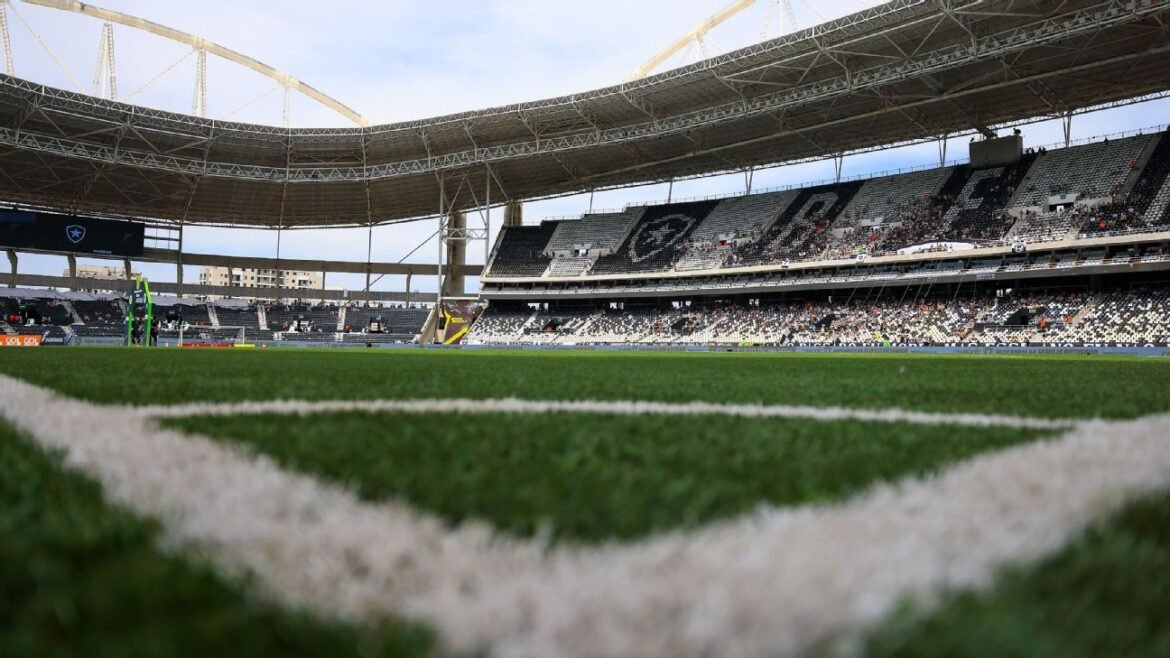Botafogo x Palmeiras: onde assistir ao vivo, horário e previsões de resultados