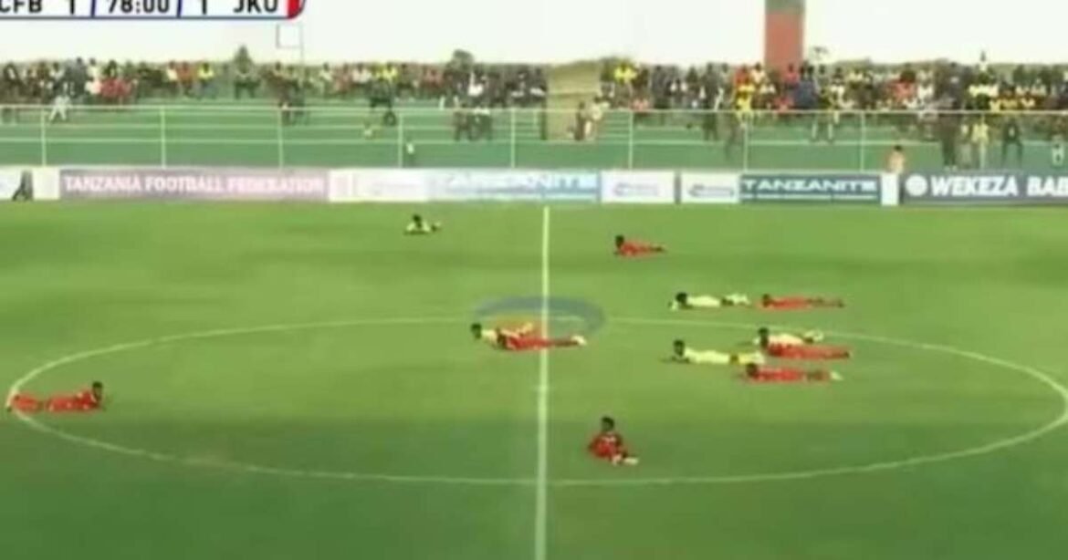 Abelhas Interrompem Jogo de Futebol na Tanzânia