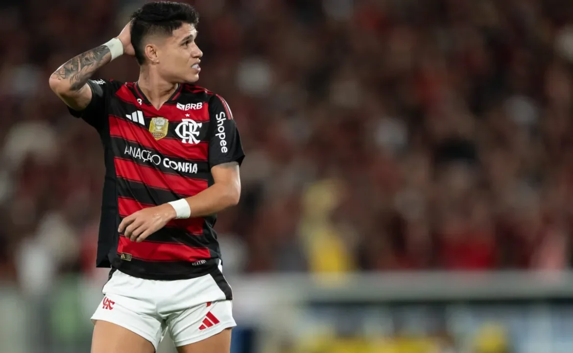 Flamengo questiona decisão da arbitragem sobre pênalti não assinalado em clássico contra o Botafogo
