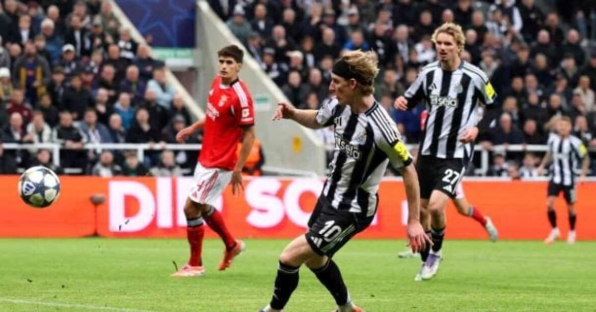 Newcastle Se Beneficia de Erros do Benfica e Retorna às Vitórias na Champions