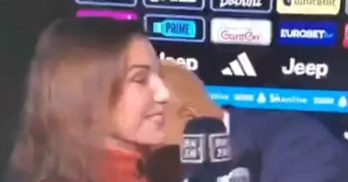 Vídeo: Spalletti se envolve em polêmica ao beijar repórter sobre decisão do VAR em Juventus x Lazio