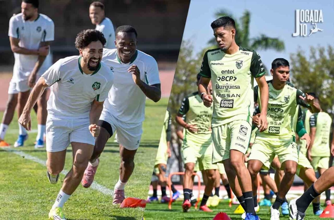 Guia Completo sobre Bolívia e Suriname: Informações Essenciais para Você