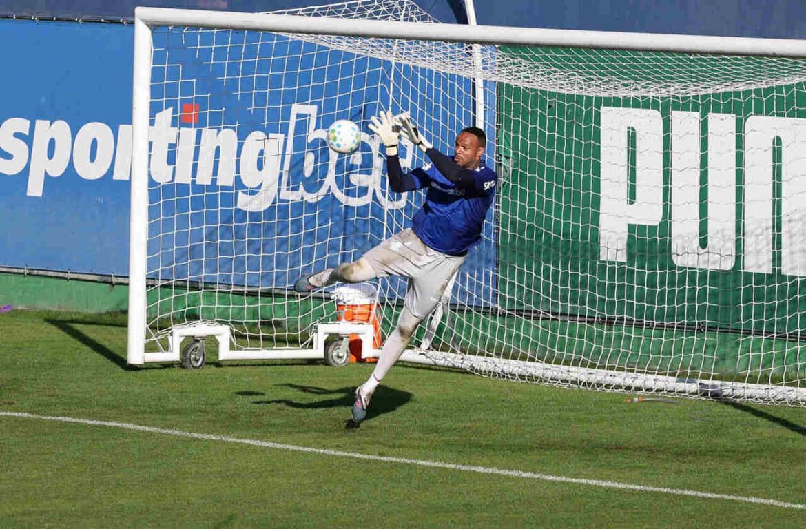 Carlos Miguel destaca a importância dos treinamentos e planeja um Palmeiras competitivo na disputa por troféus.