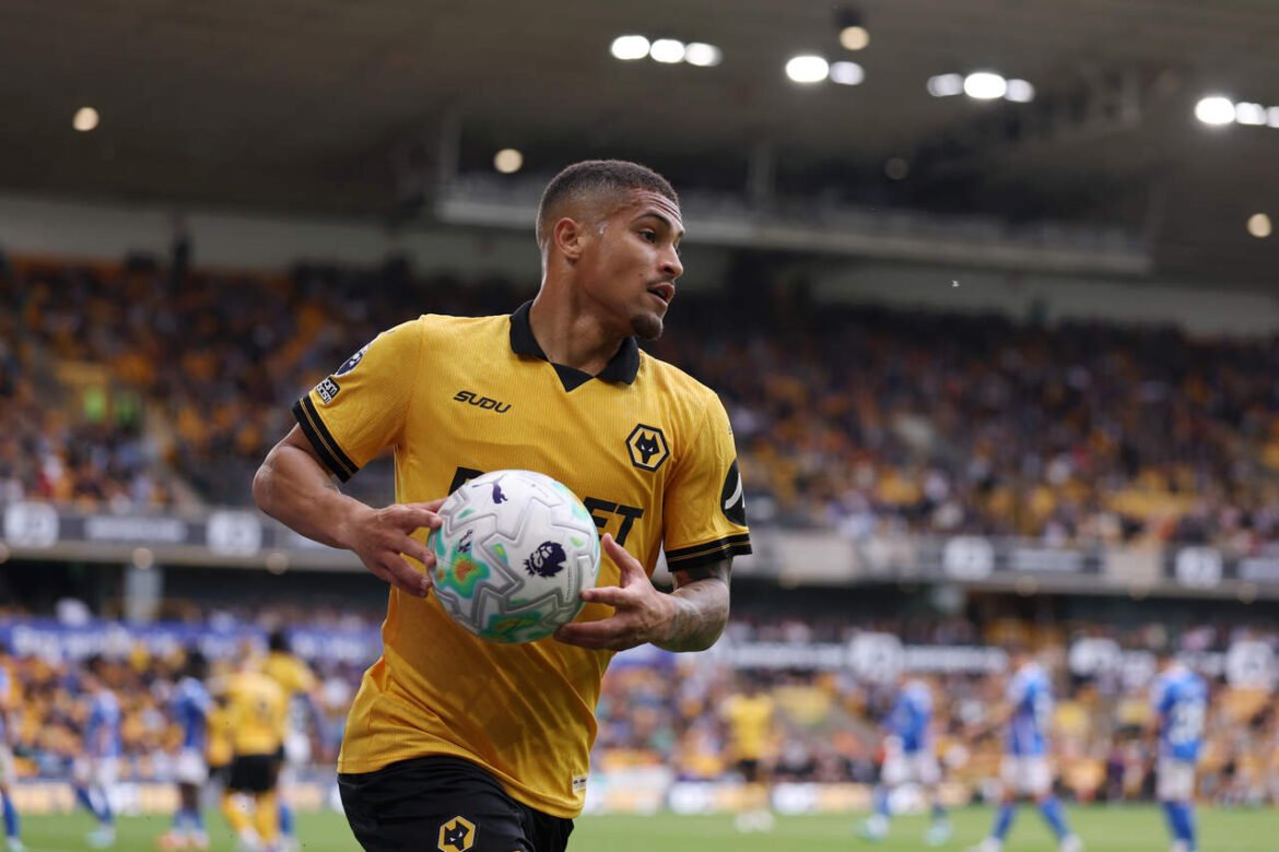 Wolverhampton finaliza negociação de João Gomes com valor significativo de transferência